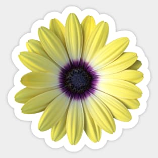 Yellow and Purple Daisy Photo Sticker